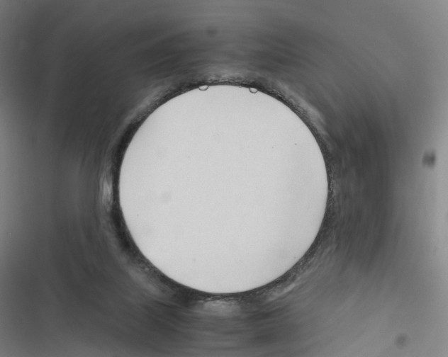 X0000116680067201001251309