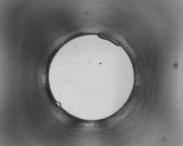 X0000116680068201001251309