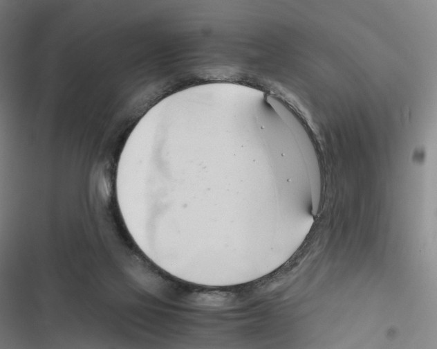 X0000116680069201001251309