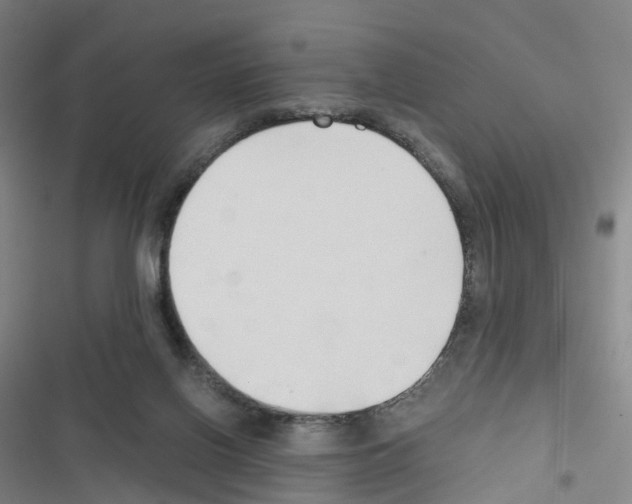 X0000116680070201001251309