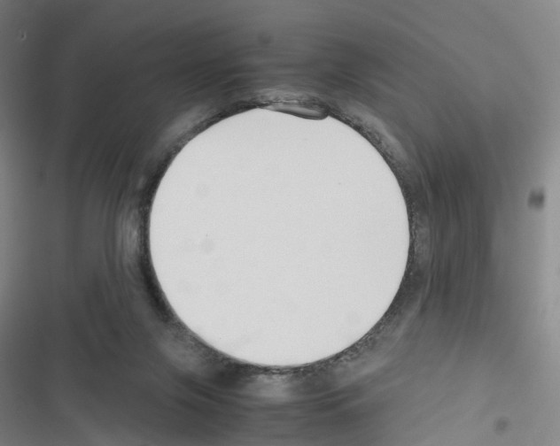 X0000116680071201001251309