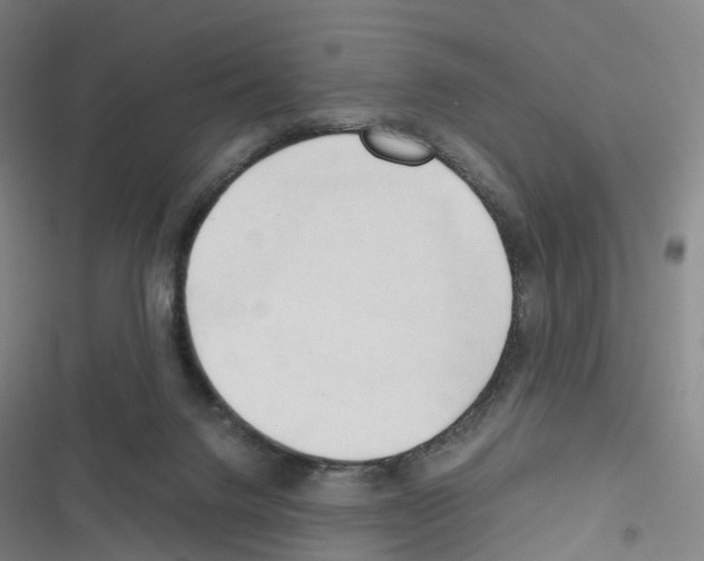 X0000116680072201001251309