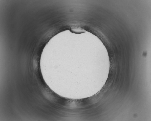 X0000116680074201001251309