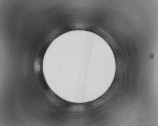 X0000116680075201001251309