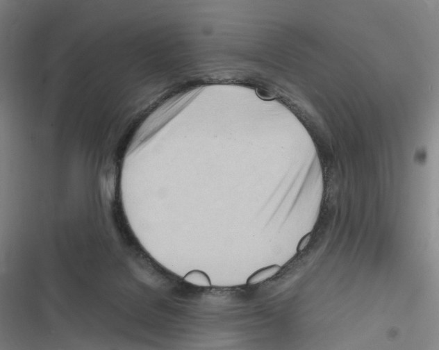 X0000116680076201001251309