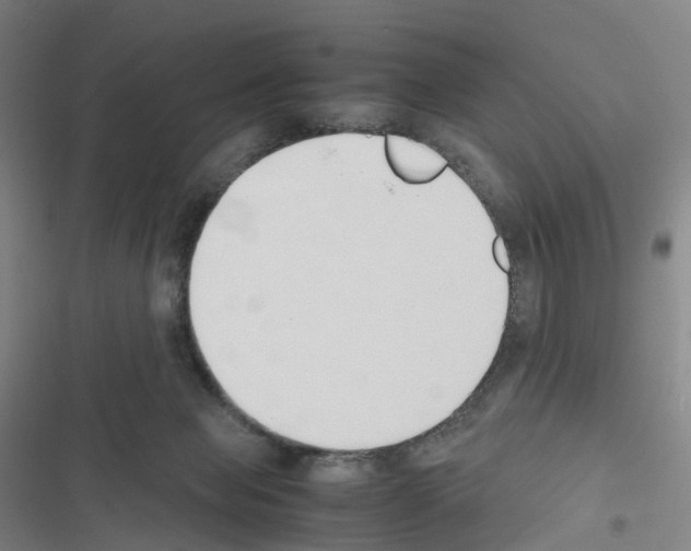 X0000116680077201001251309