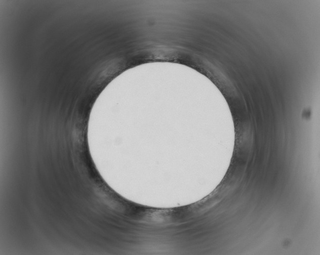 X0000116680078201001251309