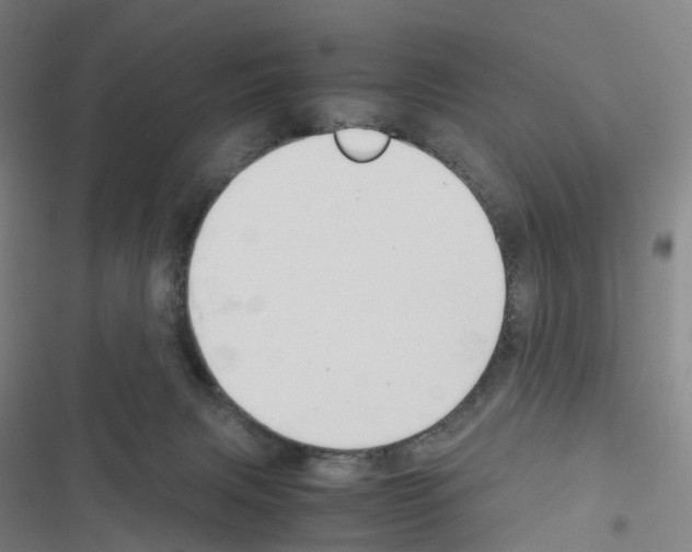 X0000116680079201001251309