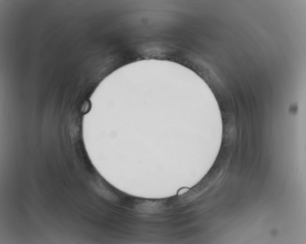 X0000116680081201001251309