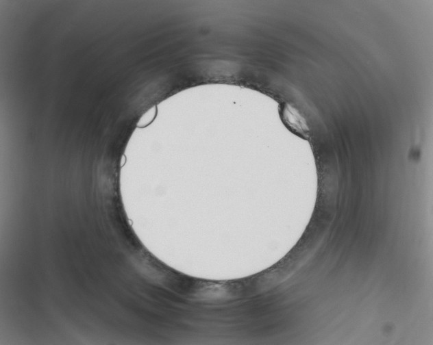 X0000116680083201001251309