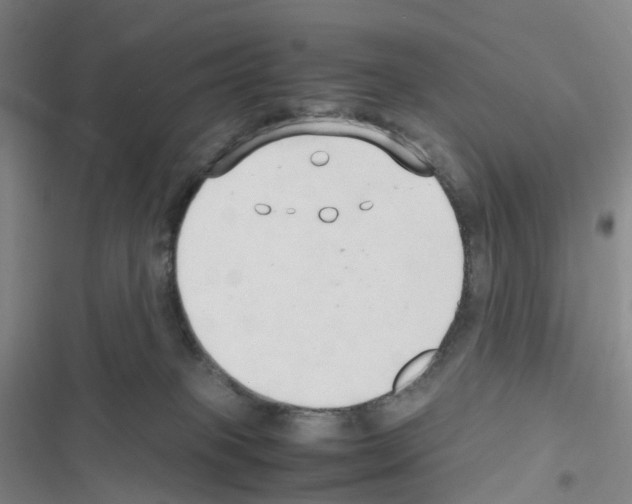 X0000116680085201001251309