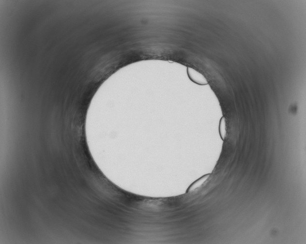 X0000116680086201001251309