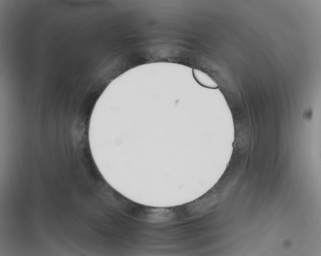 X0000116680087201001251309