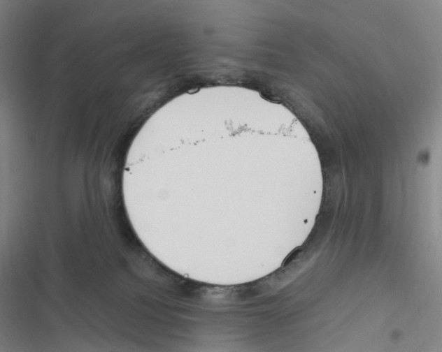 X0000116680088201001251309