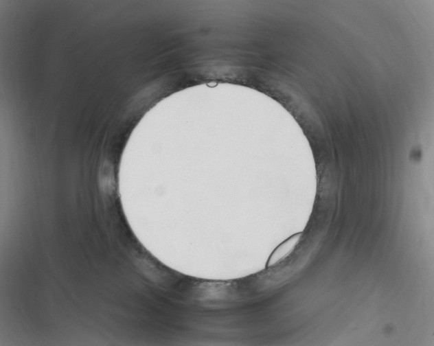 X0000116680089201001251309