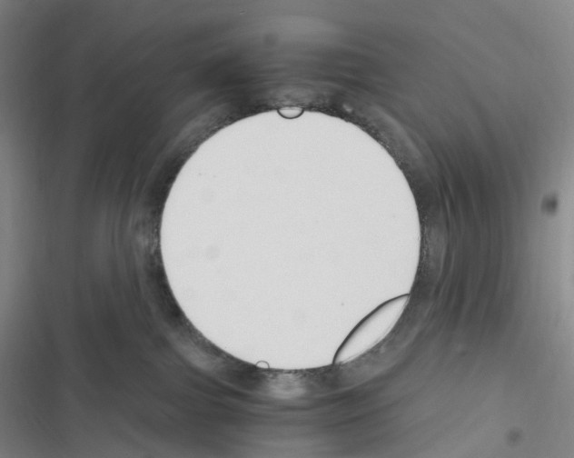 X0000116680091201001251309