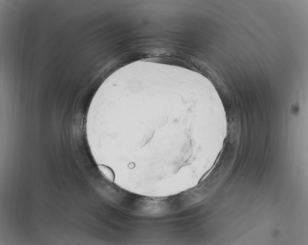 X0000116680093201001251309