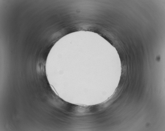 X0000116680094201001251309