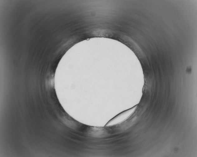 X0000116680095201001251309