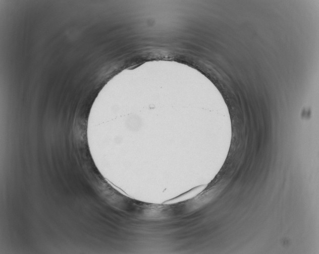 X0000116680096201001251309