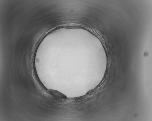 X0000116680097201001251308