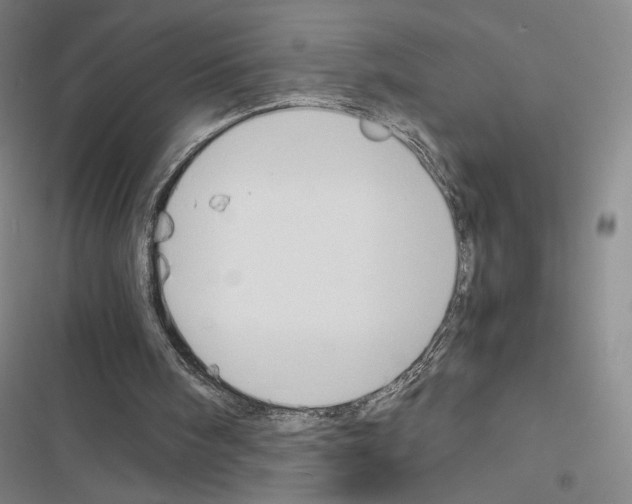 X0000116680098201001251308