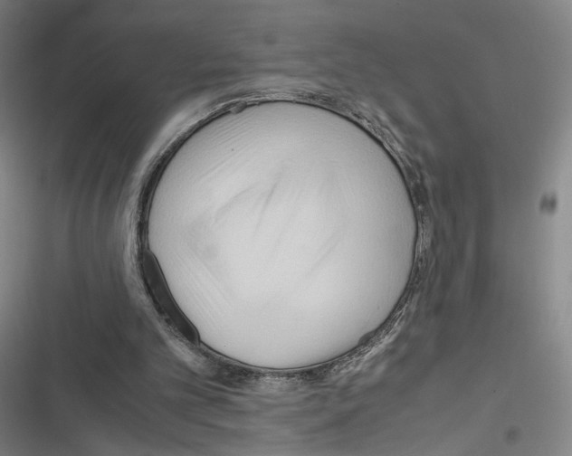 X0000116680101201001251308