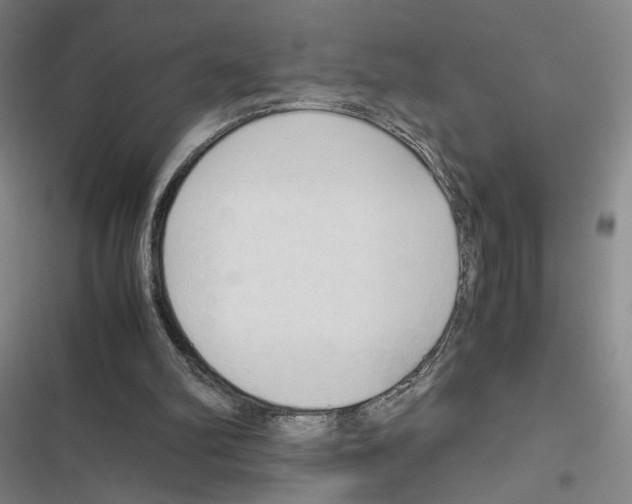 X0000116680102201001251308