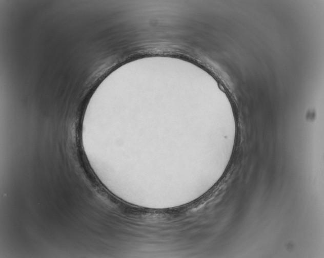 X0000116680105201001251308