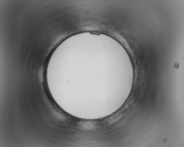 X0000116680106201001251308