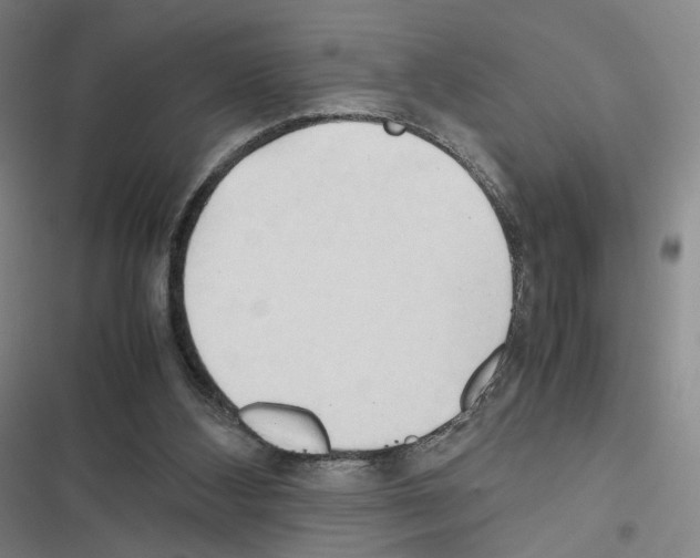 X0000116680108201001251308