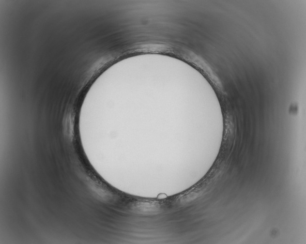 X0000116680110201001251308