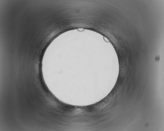 X0000116680111201001251308