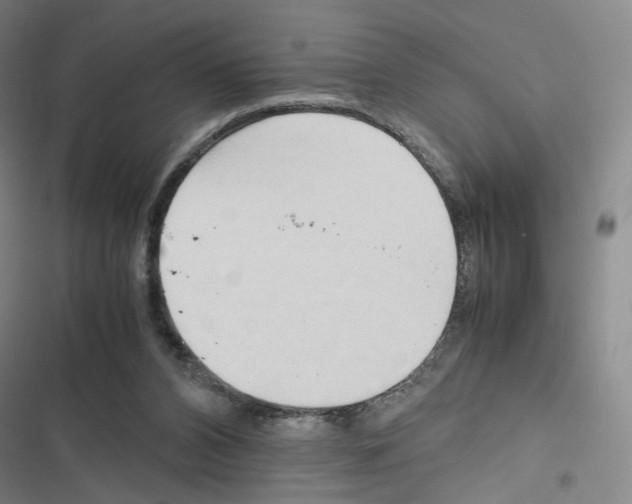 X0000116680112201001251308