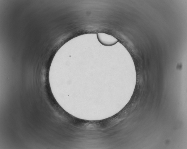 X0000116680115201001251308