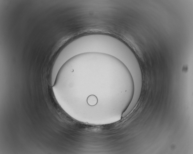 X0000116680116201001251308