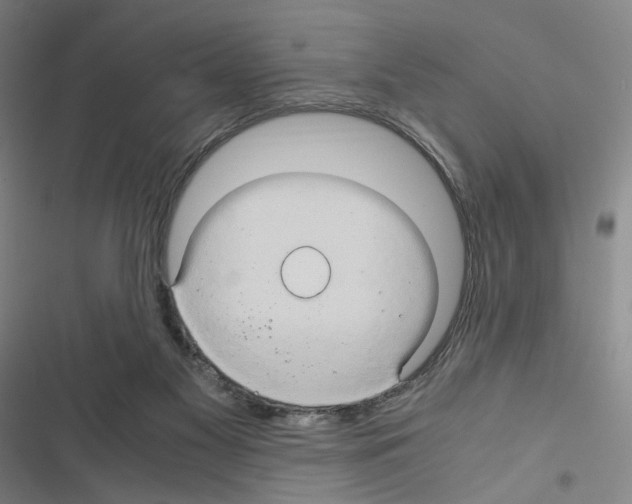 X0000116680117201001251308