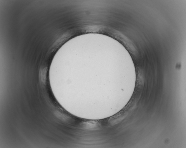 X0000116680118201001251308