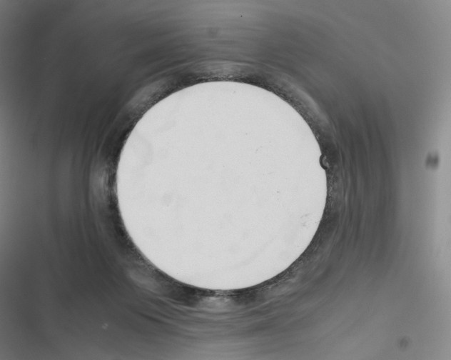 X0000116680119201001251308