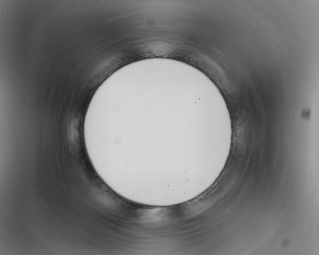 X0000116680122201001251308