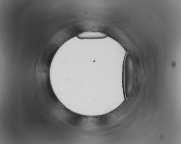 X0000116680125201001251308