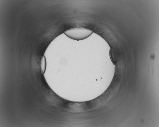 X0000116680129201001251308