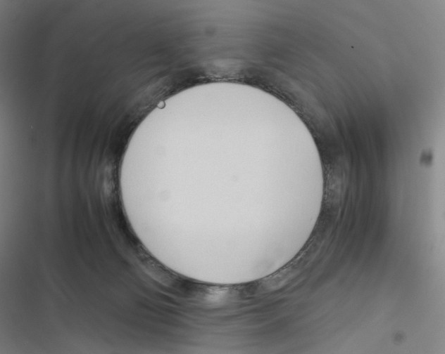 X0000116680130201001251308