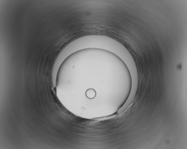 X0000116680132201001251308