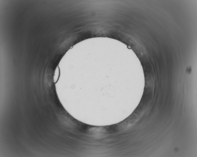 X0000116680133201001251308