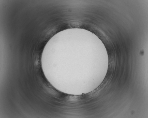 X0000116680134201001251308