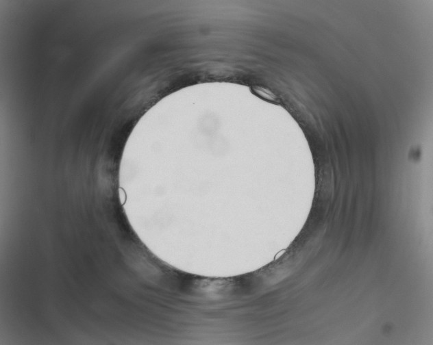 X0000116680135201001251308