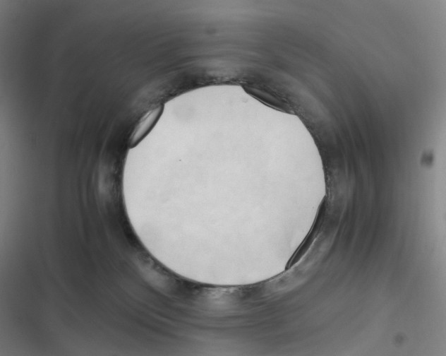 X0000116680136201001251308