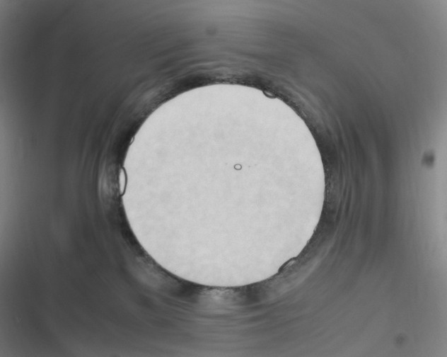 X0000116680137201001251308