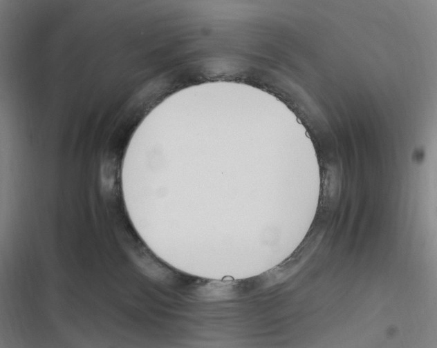 X0000116680138201001251308